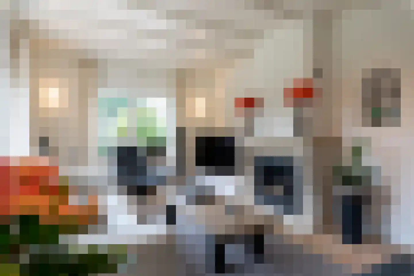 Didamseweg 2 Loerbeek thumbnail 21