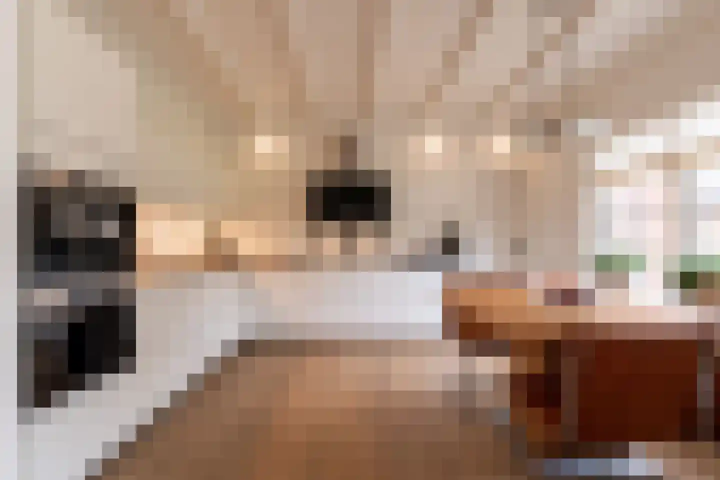 Didamseweg 2 Loerbeek thumbnail 26