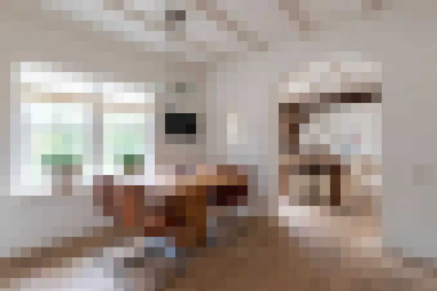 Didamseweg 2 Loerbeek thumbnail 31