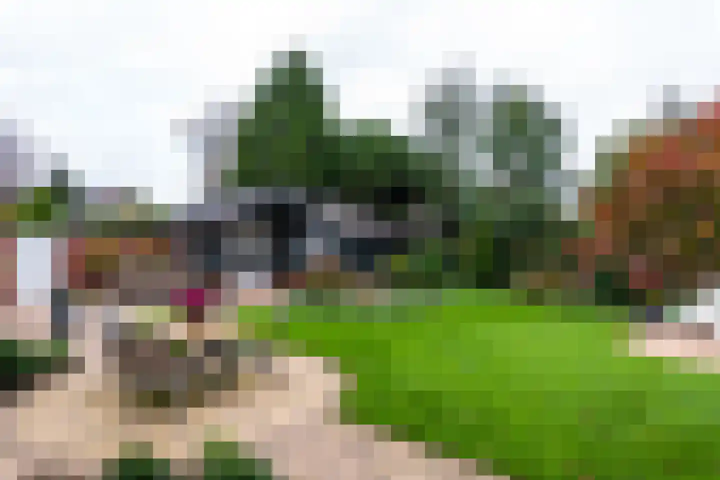Didamseweg 2 Loerbeek thumbnail 35