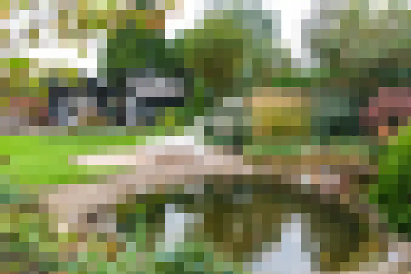 Didamseweg 2 Loerbeek thumbnail 36