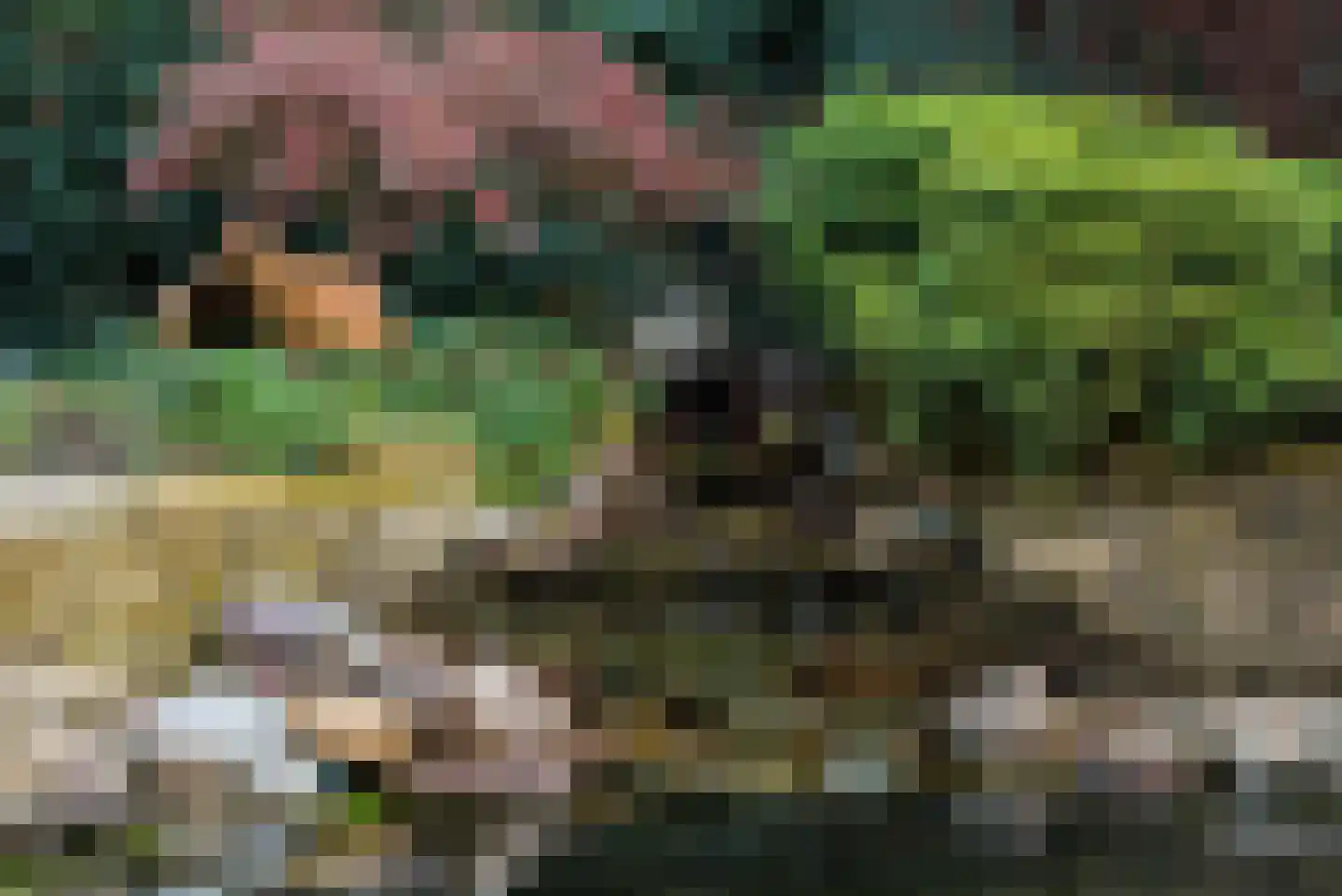 Didamseweg 2 Loerbeek thumbnail 37