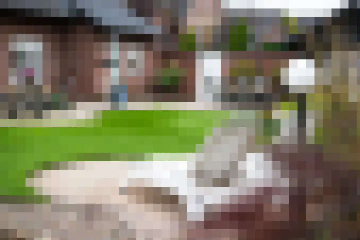 Didamseweg 2 Loerbeek thumbnail 39