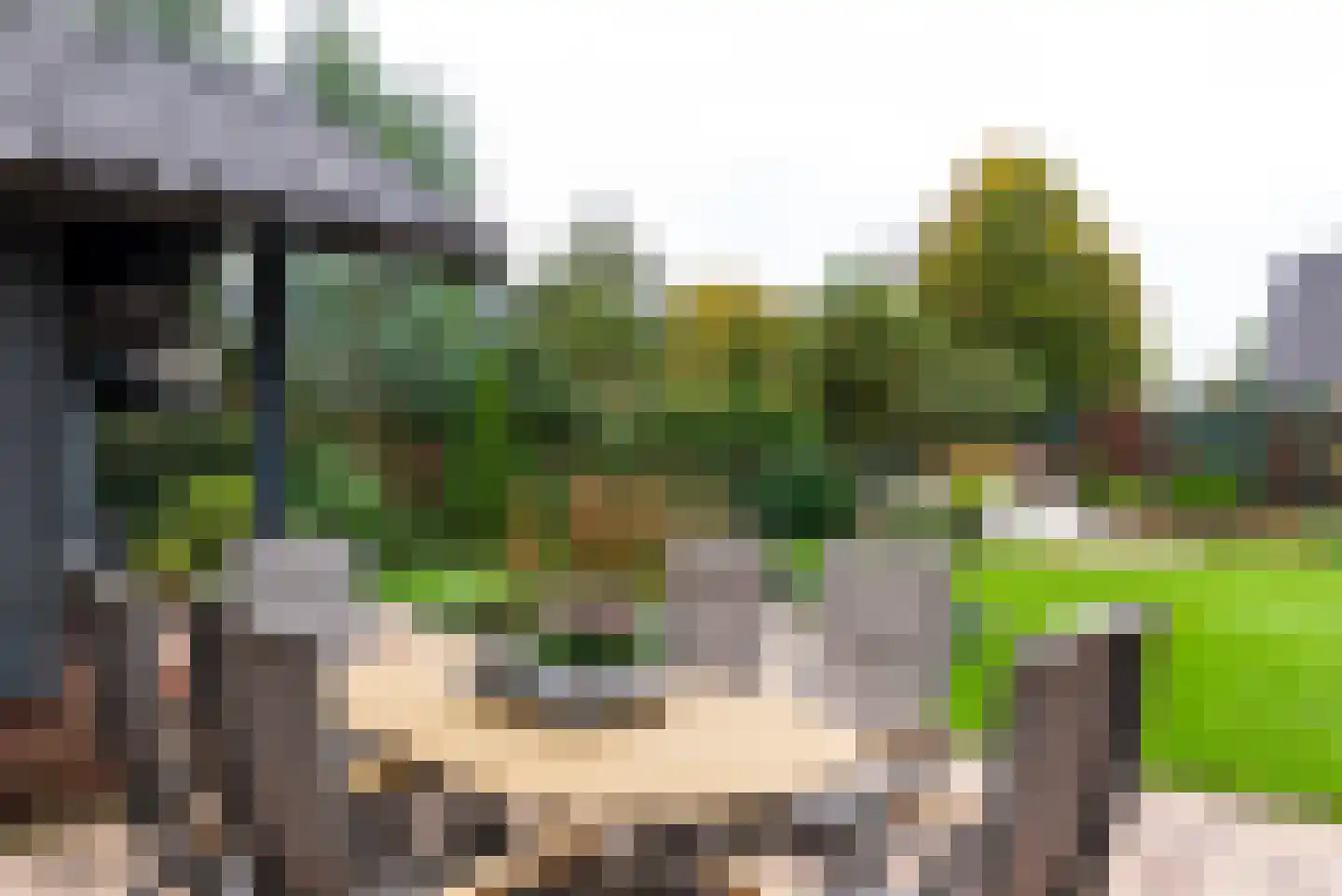 Didamseweg 2 Loerbeek thumbnail 4