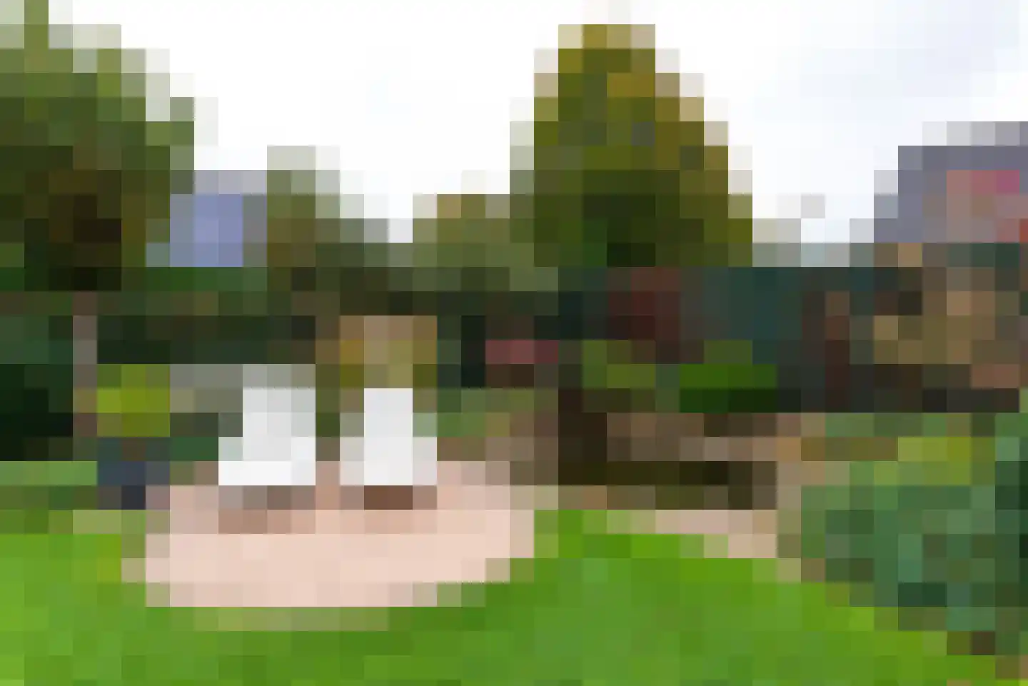 Didamseweg 2 Loerbeek thumbnail 41