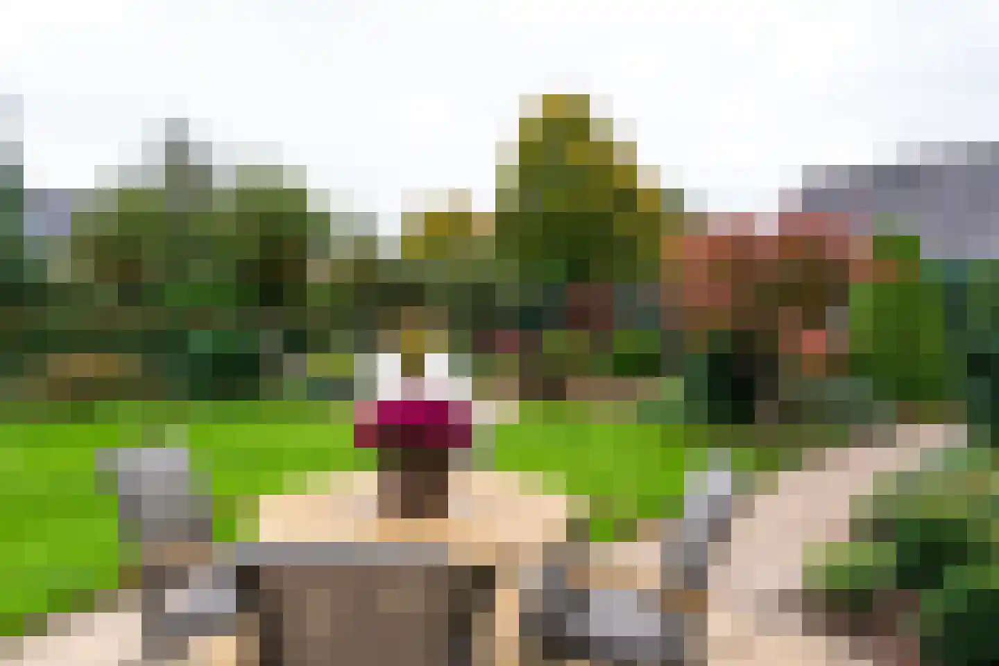 Didamseweg 2 Loerbeek thumbnail 47