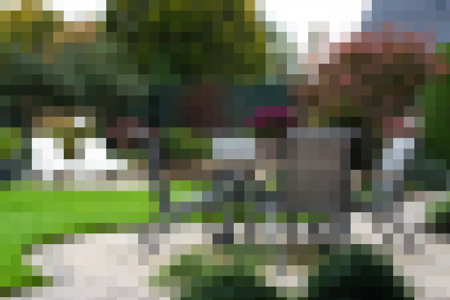 Didamseweg 2 Loerbeek thumbnail 48