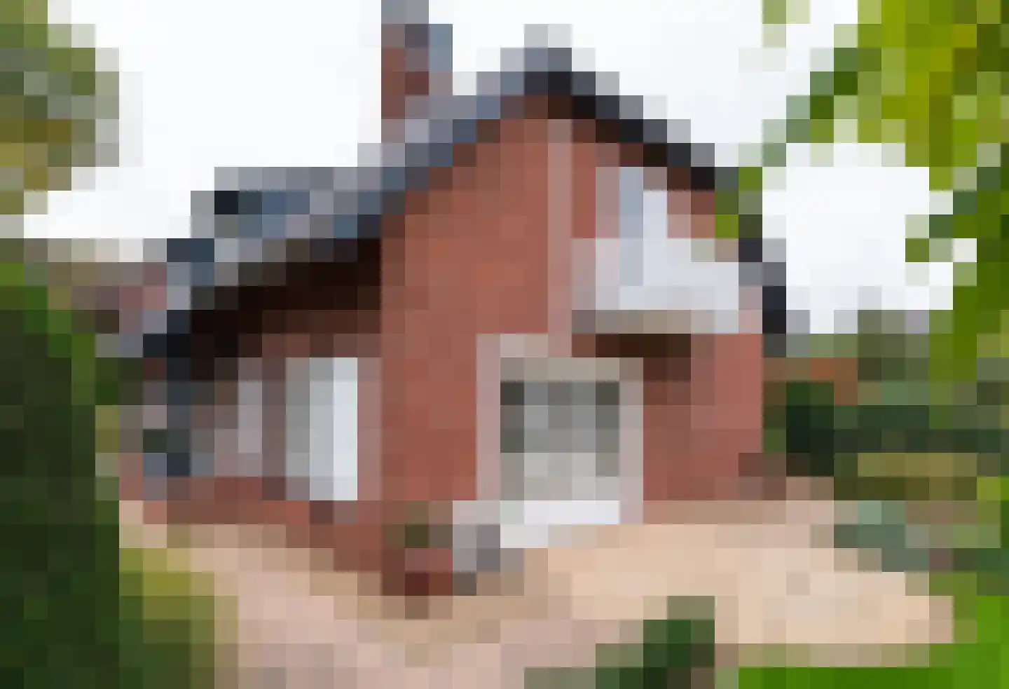 Didamseweg 2 Loerbeek thumbnail 51