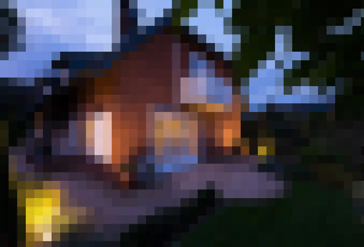 Didamseweg 2 Loerbeek thumbnail 56