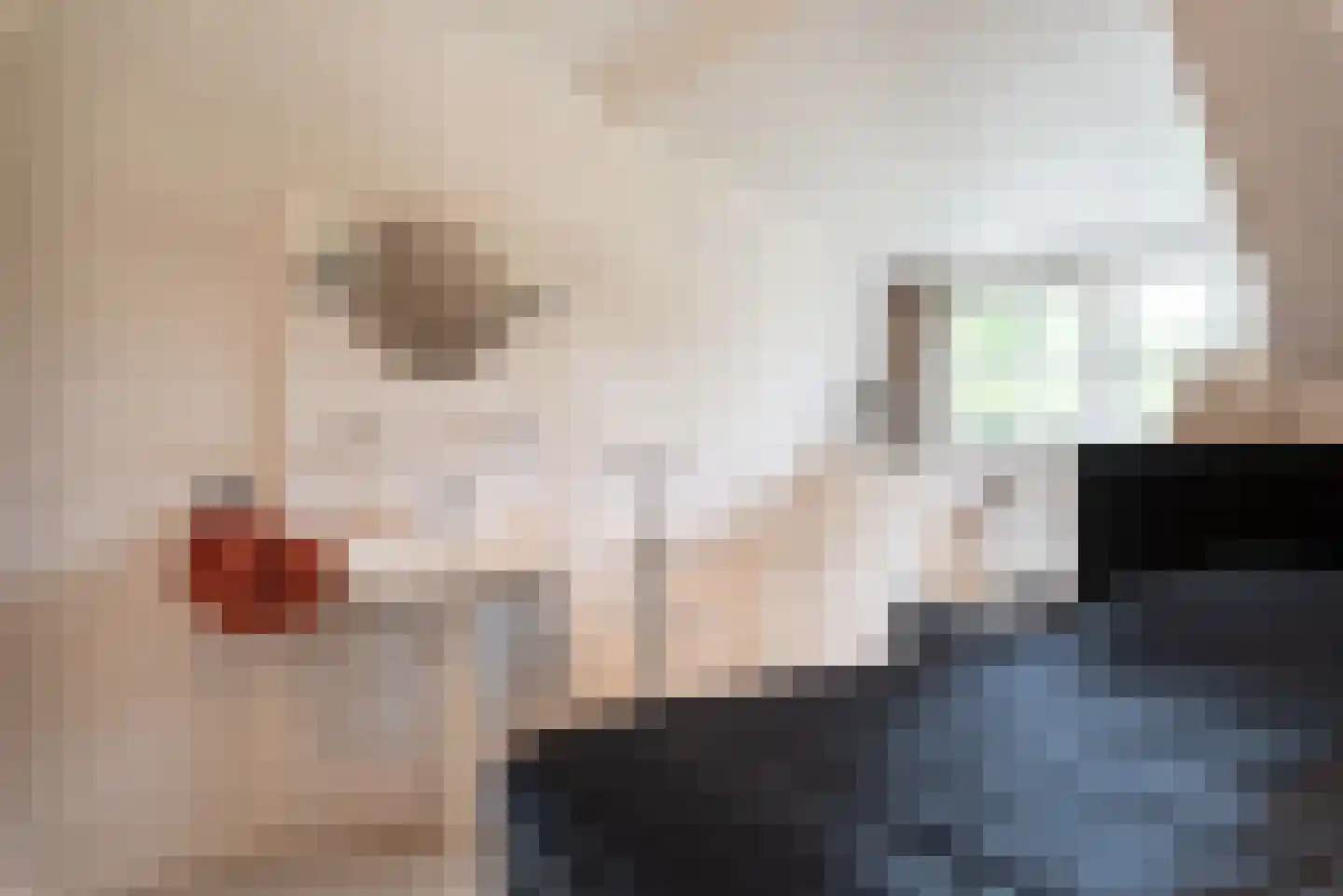 Didamseweg 2 Loerbeek thumbnail 61