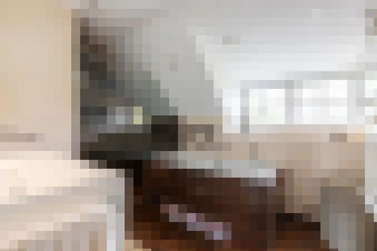 Didamseweg 2 Loerbeek thumbnail 69