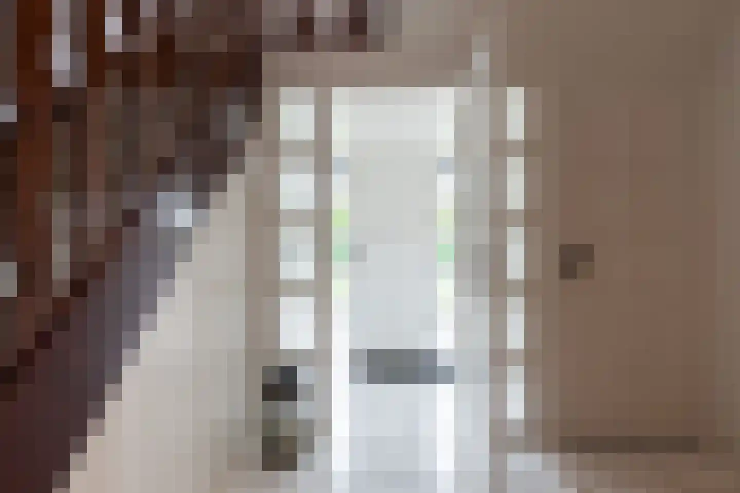 Didamseweg 2 Loerbeek thumbnail 8