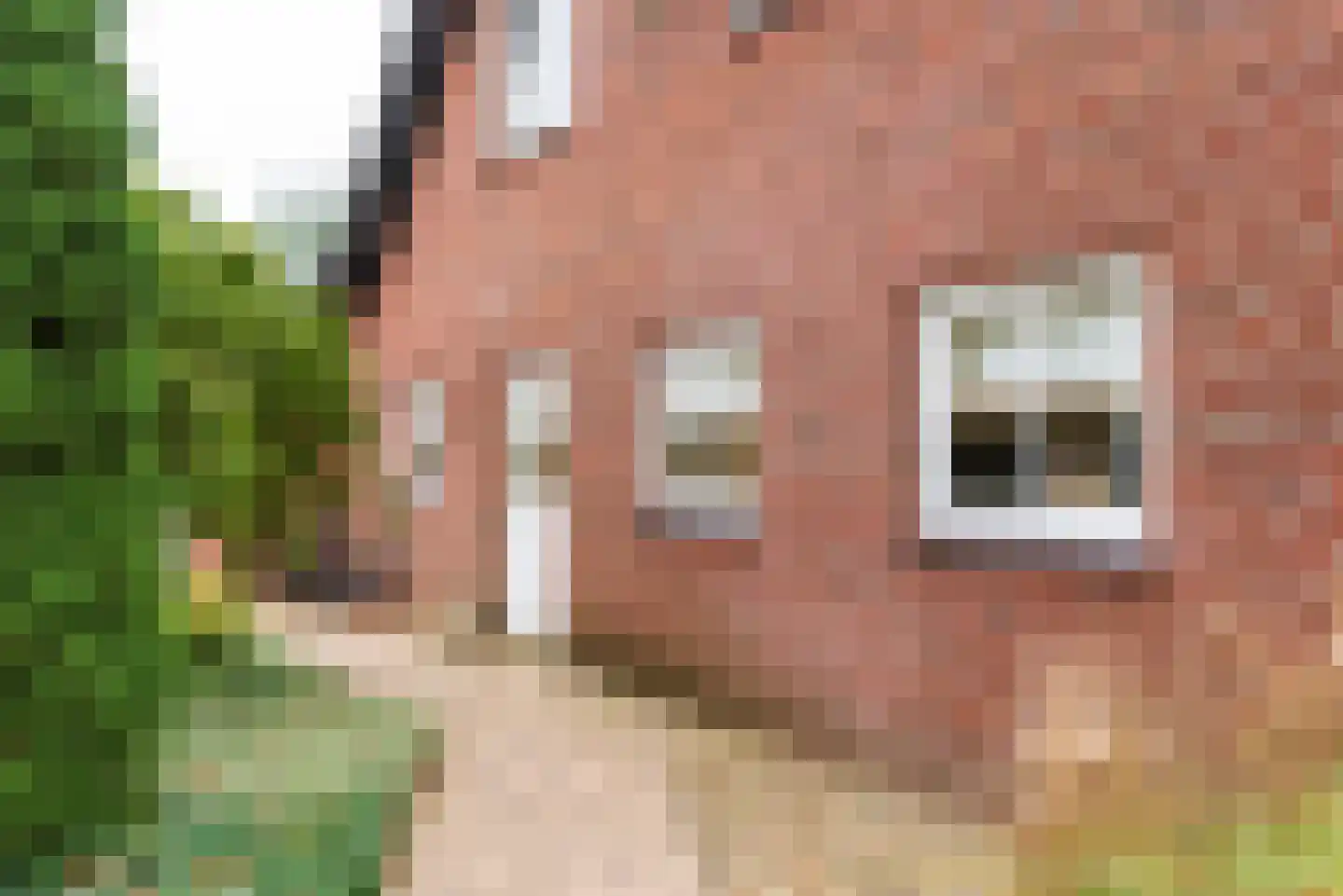 Didamseweg 2 Loerbeek thumbnail 83
