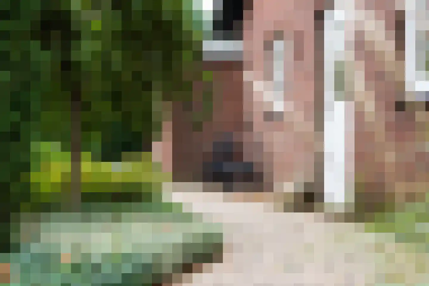 Didamseweg 2 Loerbeek thumbnail 84