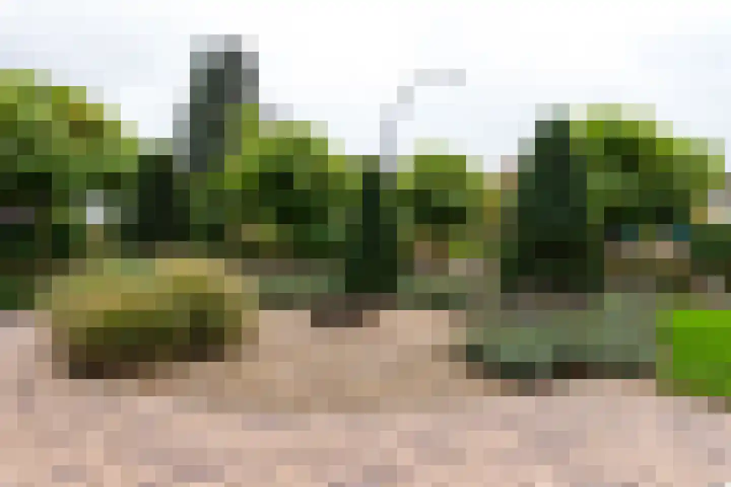 Didamseweg 2 Loerbeek thumbnail 85