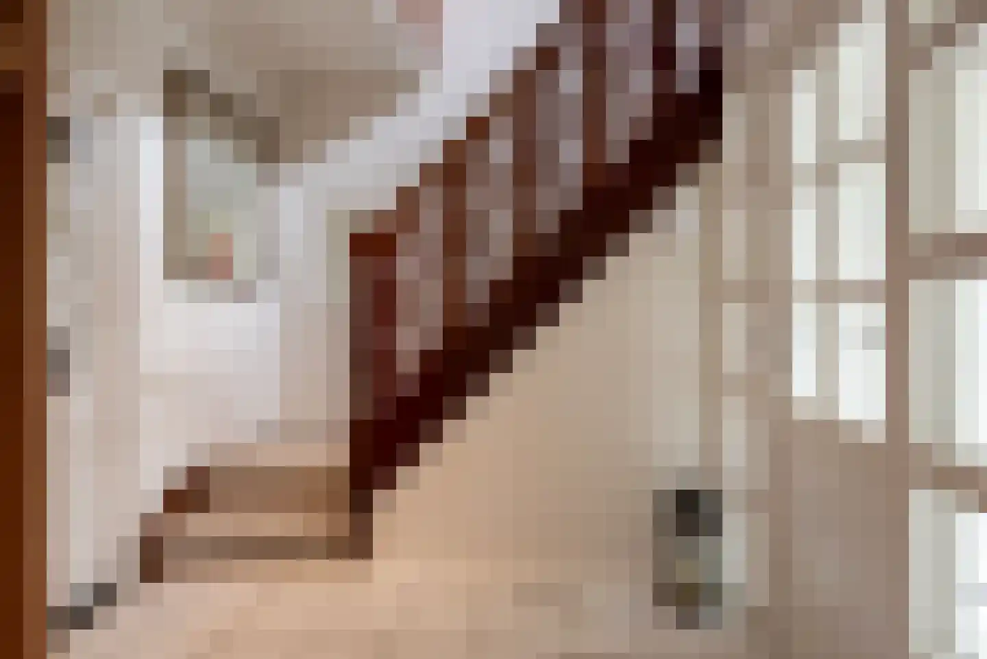 Didamseweg 2 Loerbeek thumbnail 9