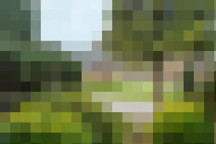 Didamseweg 2 Zevenaar thumbnail 14