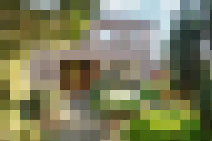 Didamseweg 2 Zevenaar thumbnail 45