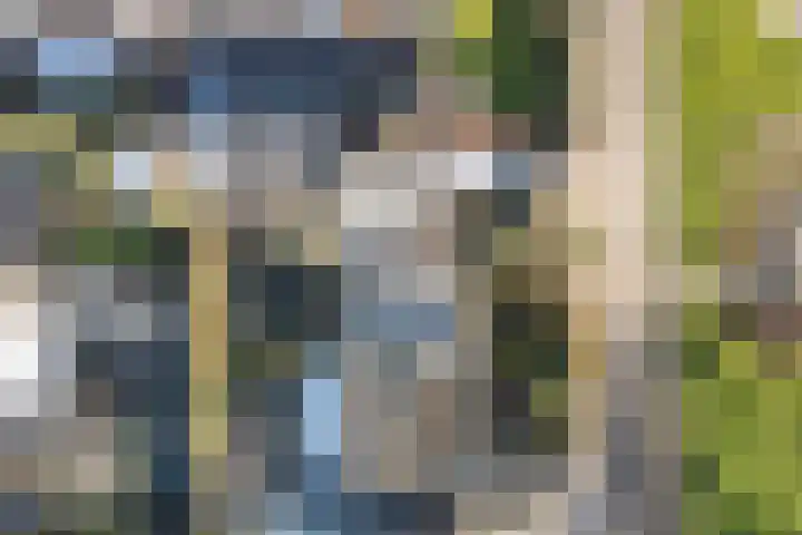 Didamseweg 2 Zevenaar thumbnail 51