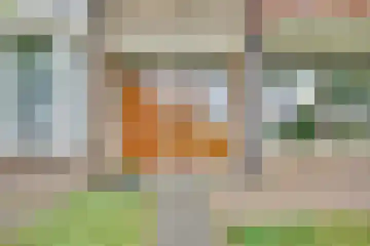 Didamseweg 22 Zevenaar thumbnail 5