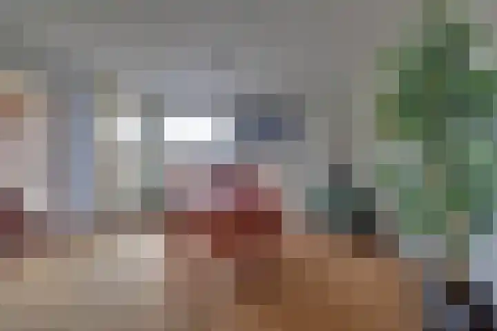 Didamseweg 22 Zevenaar thumbnail 6