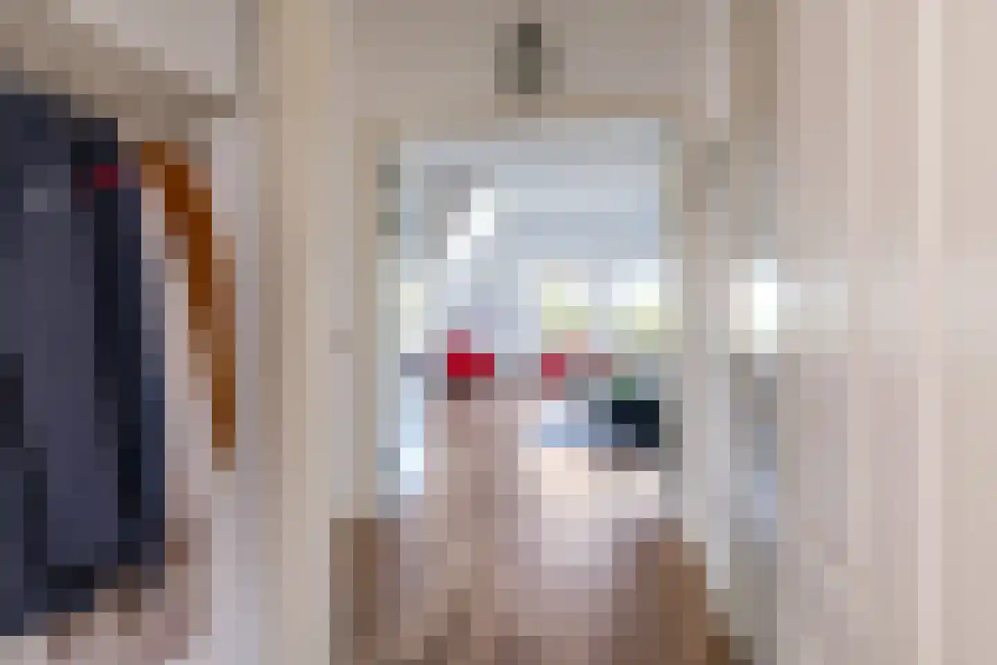 Didamseweg 4 g Doesburg thumbnail 30