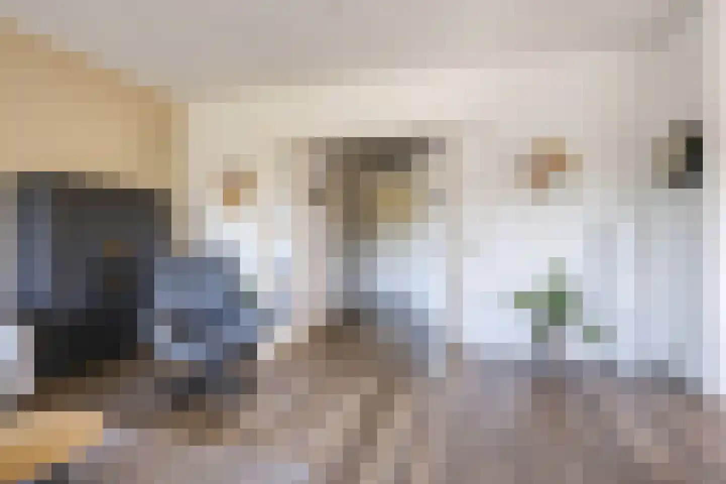 Didamseweg 4 g Doesburg thumbnail 32