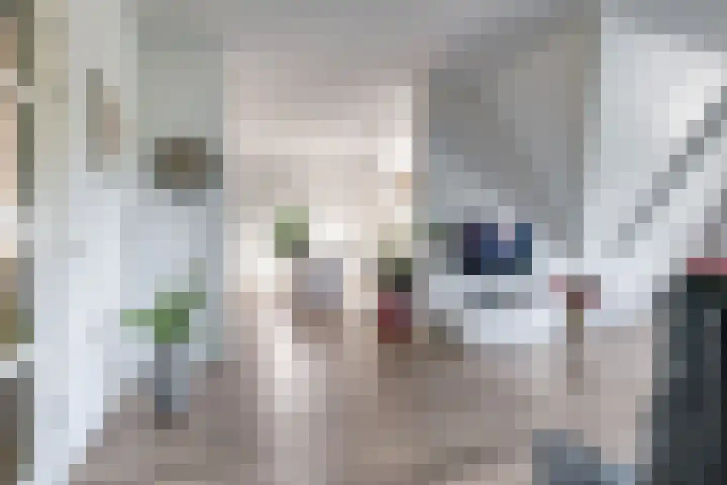Didamseweg 4 g Doesburg thumbnail 34