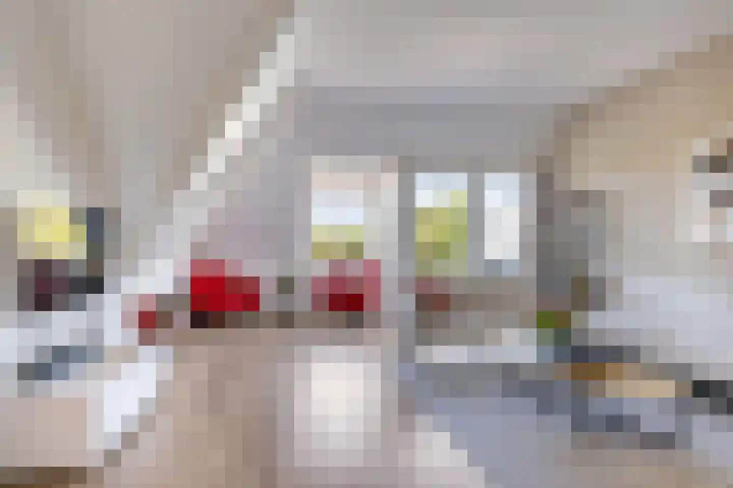 Didamseweg 4 g Doesburg thumbnail 36