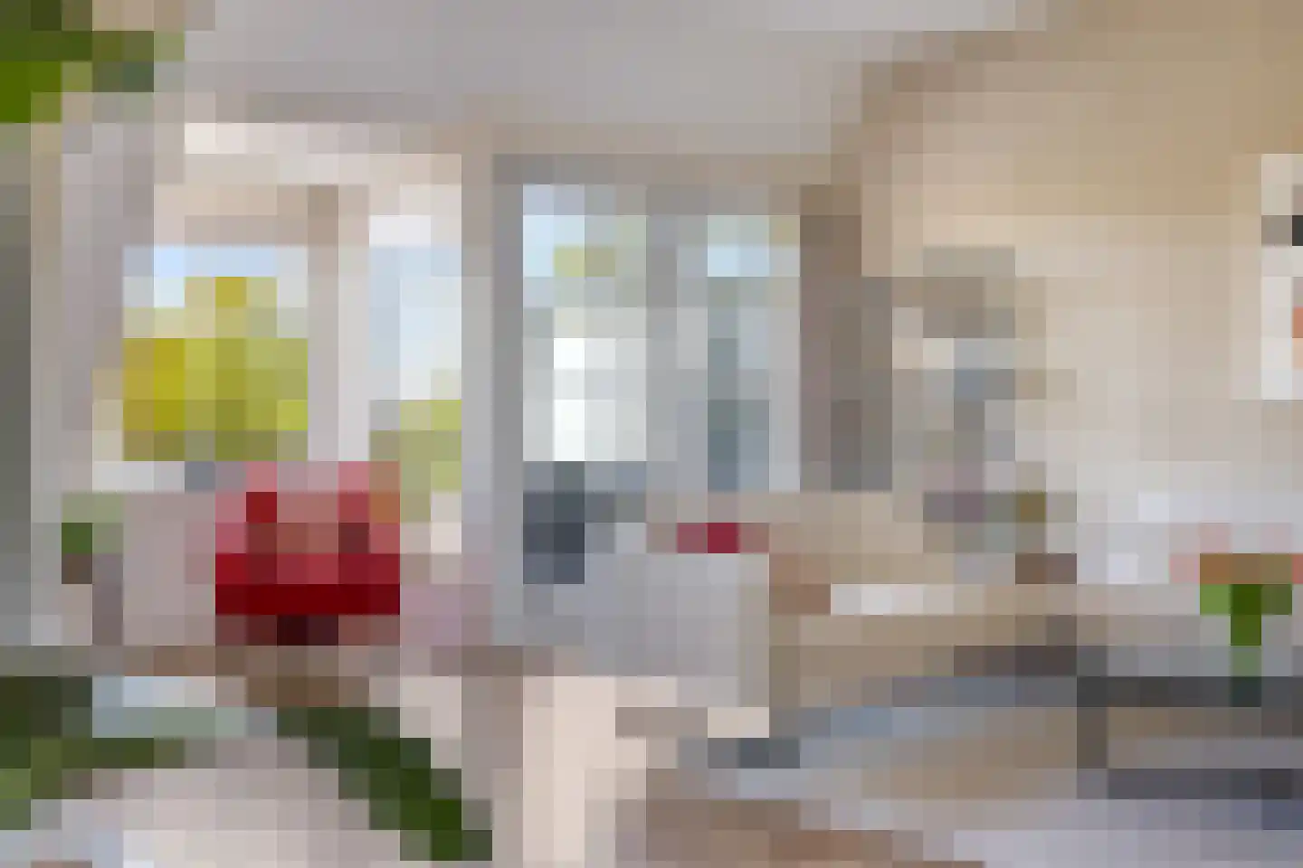 Didamseweg 4 g Doesburg thumbnail 37