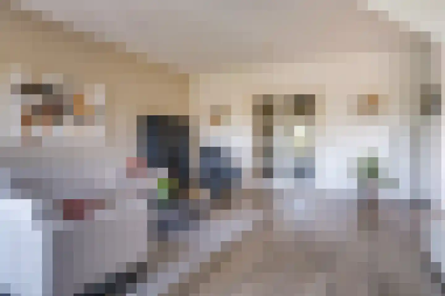 Didamseweg 4 g Doesburg thumbnail 39