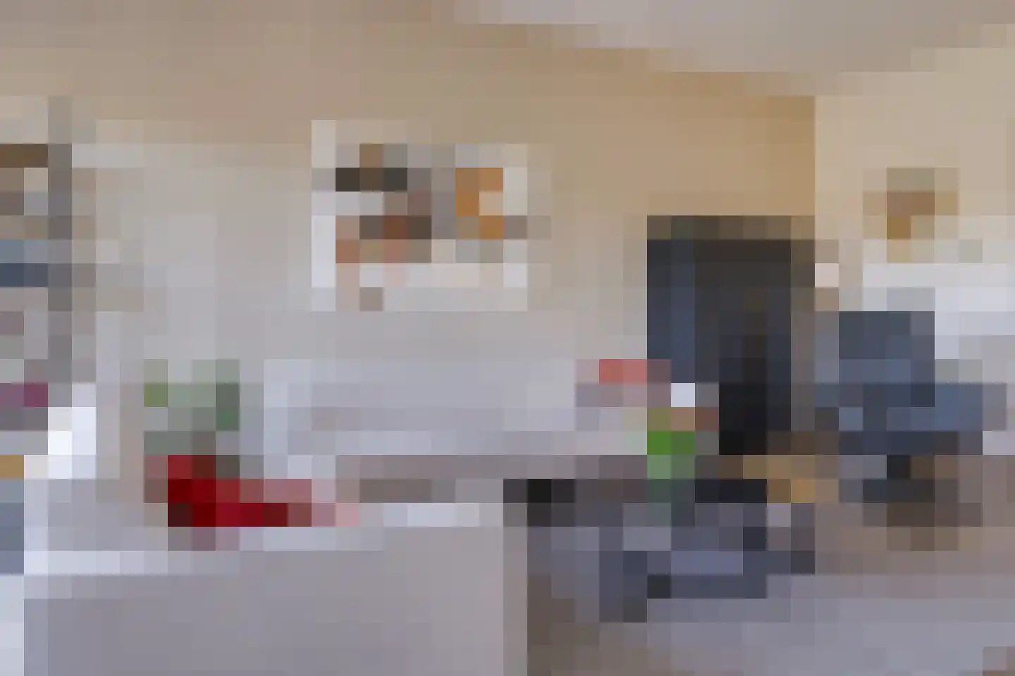 Didamseweg 4 g Doesburg thumbnail 40
