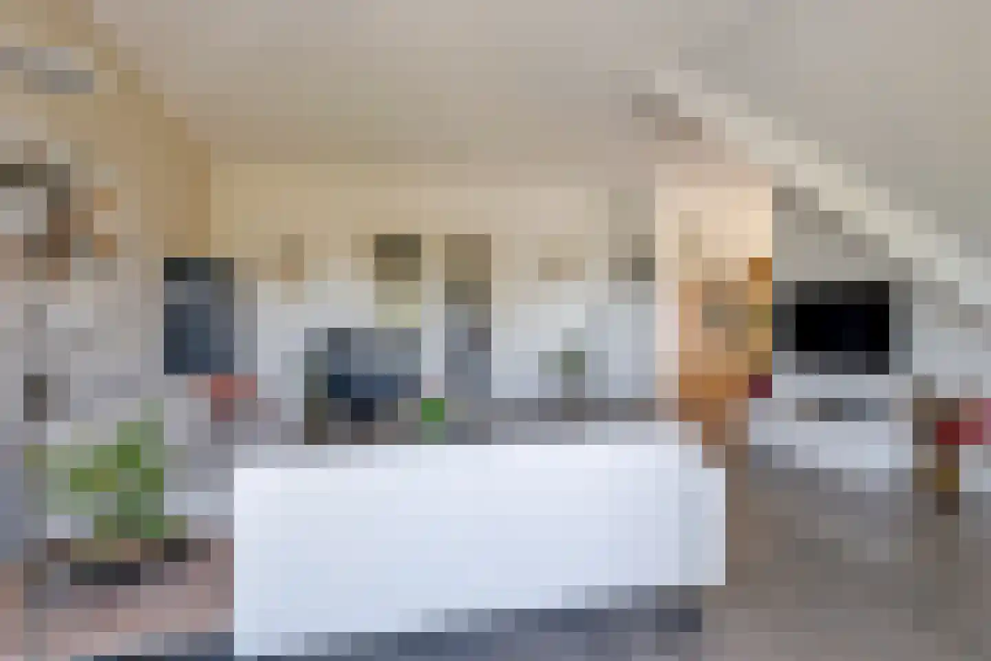 Didamseweg 4 g Doesburg thumbnail 41