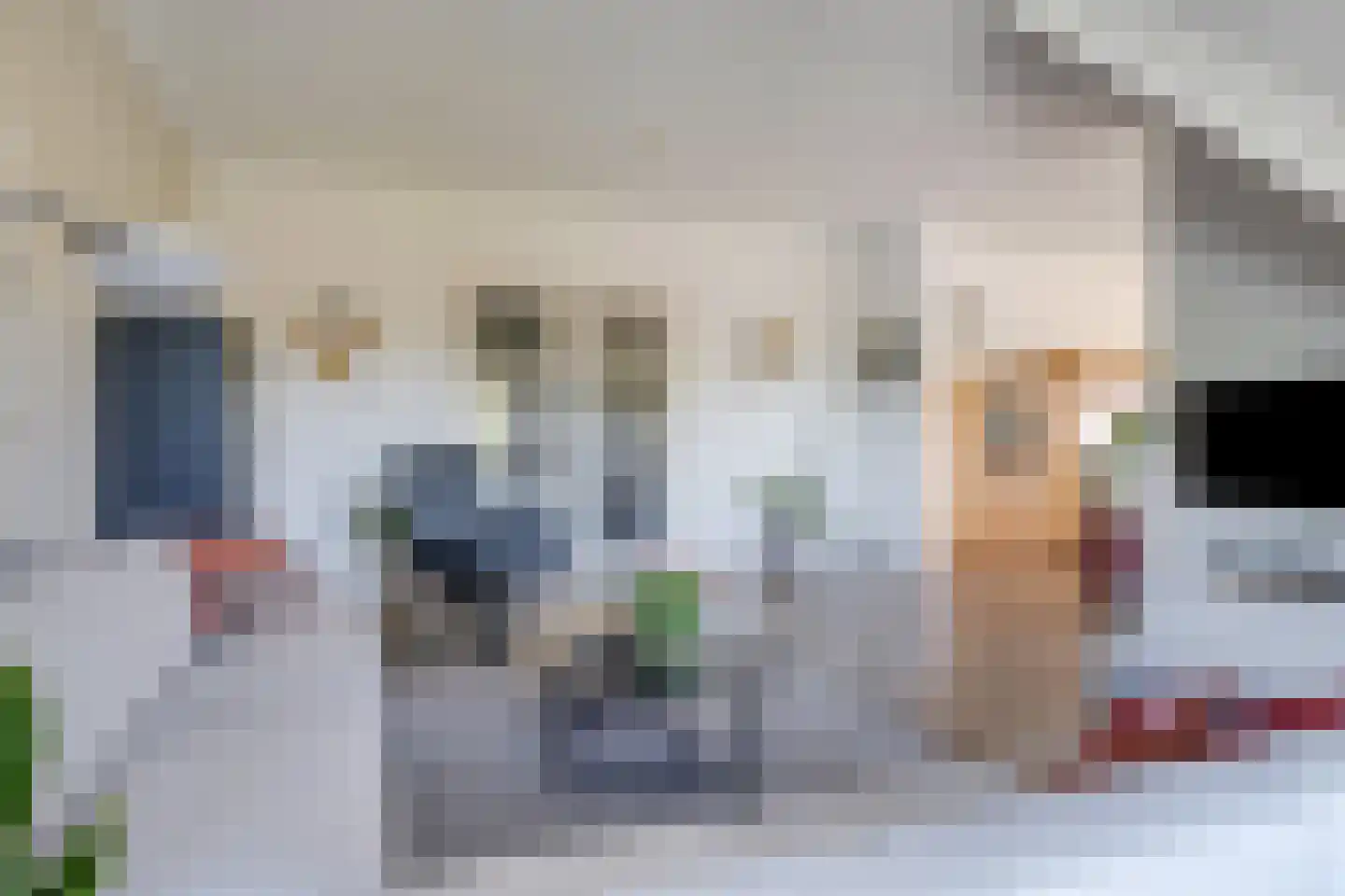 Didamseweg 4 g Doesburg thumbnail 42