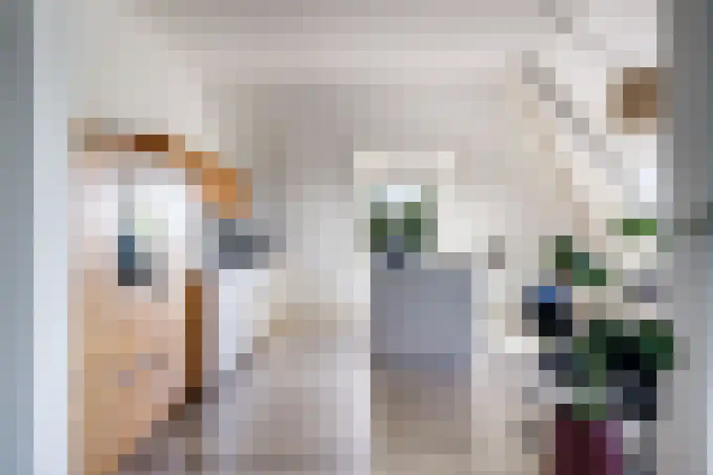 Didamseweg 4 g Doesburg thumbnail 43