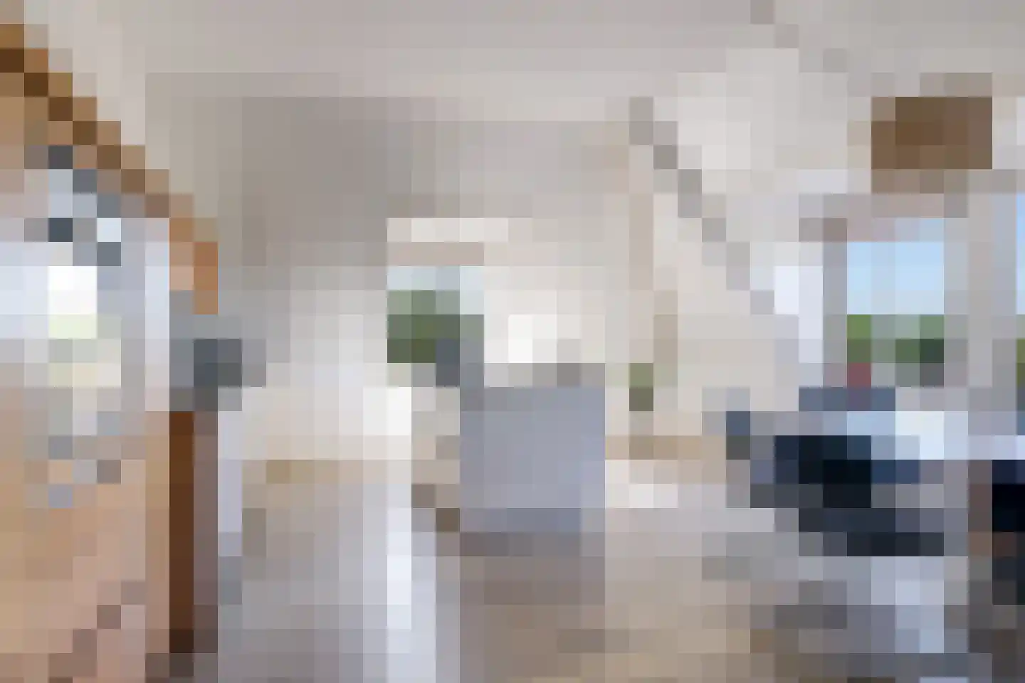Didamseweg 4 g Doesburg thumbnail 44