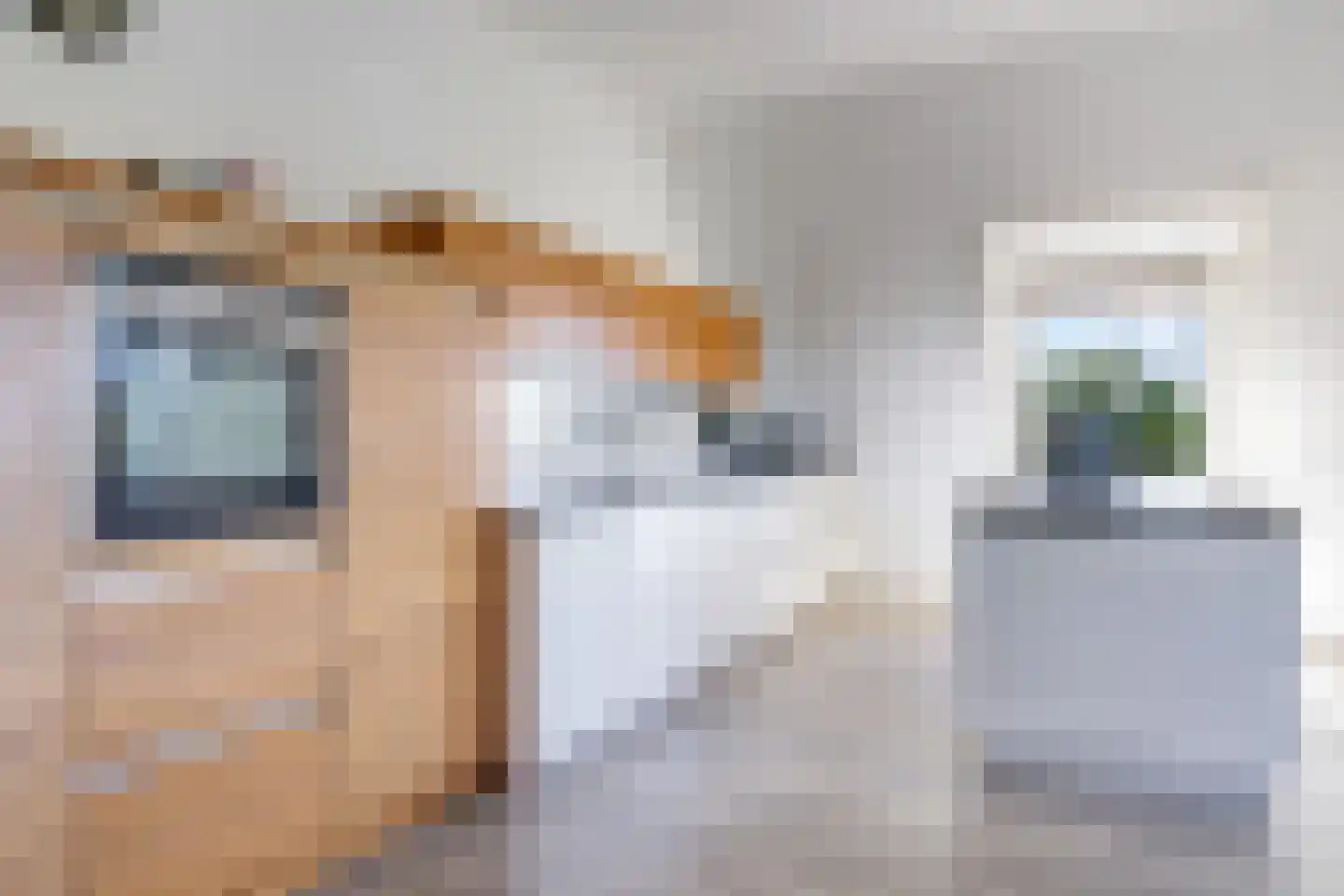 Didamseweg 4 g Doesburg thumbnail 45