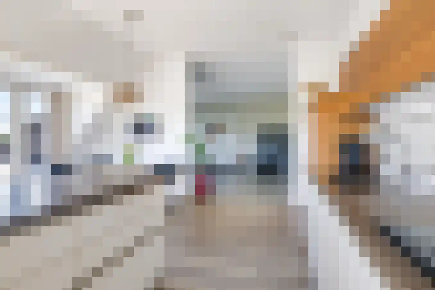 Didamseweg 4 g Doesburg thumbnail 48