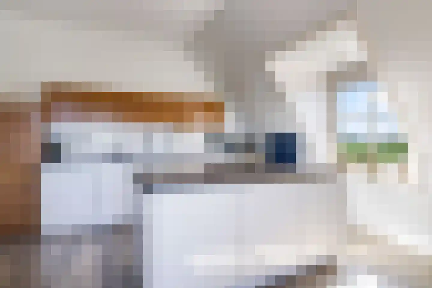 Didamseweg 4 g Doesburg thumbnail 49