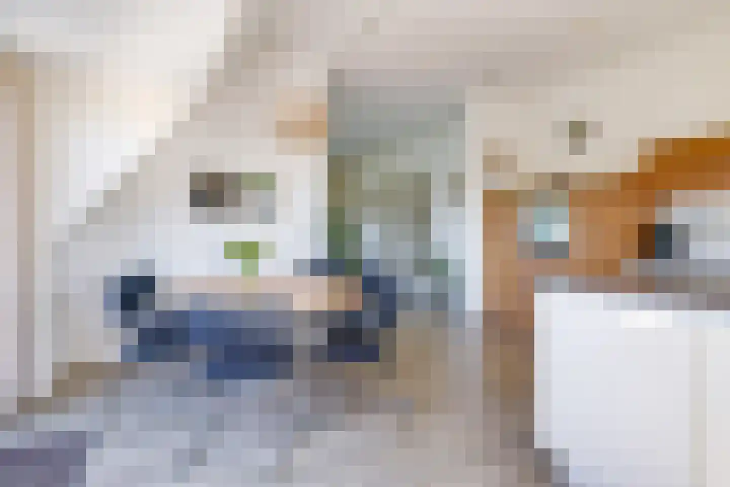 Didamseweg 4 g Doesburg thumbnail 50