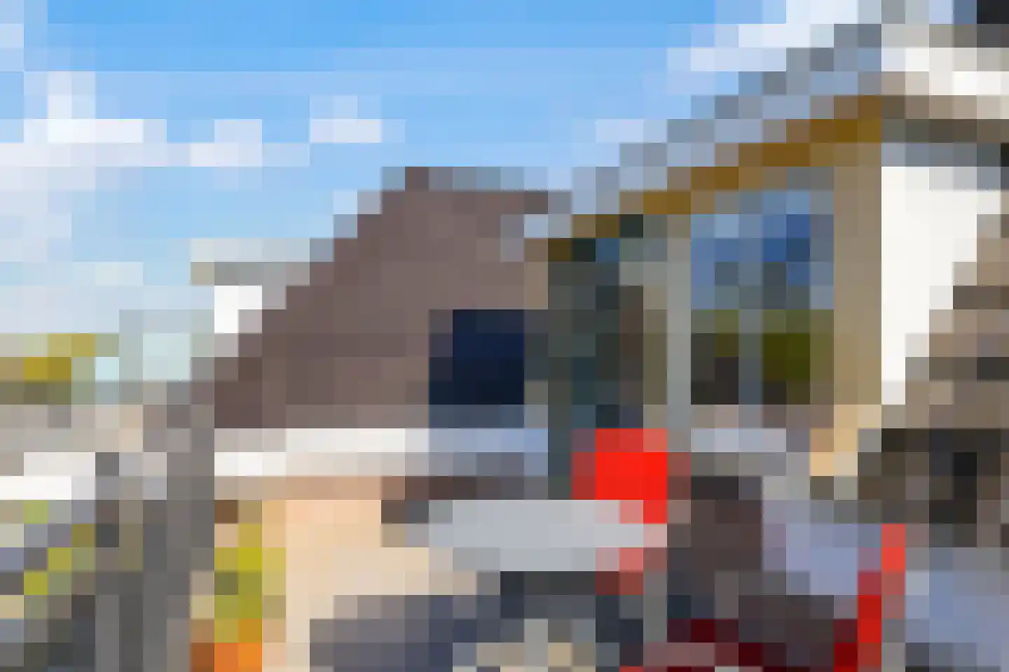 Didamseweg 4 g Doesburg thumbnail 55