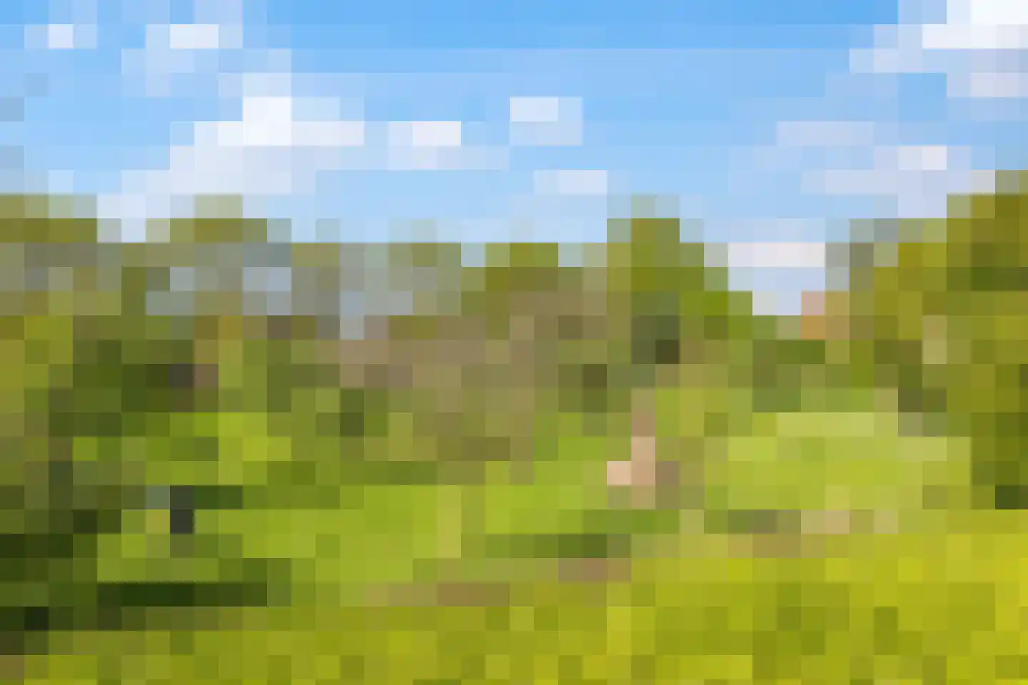 Didamseweg 4 g Doesburg thumbnail 60