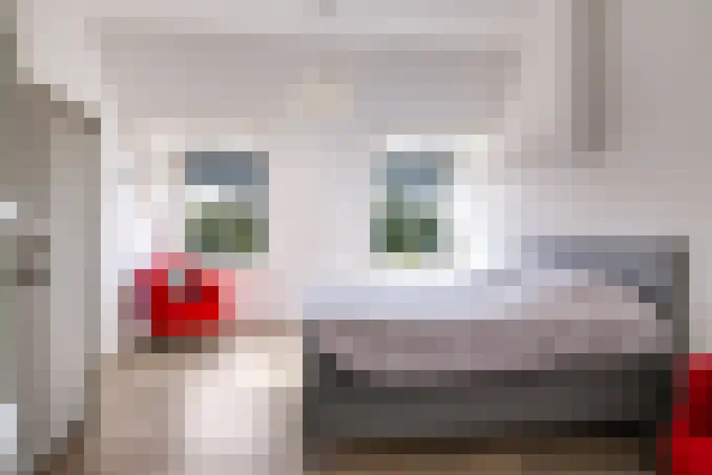 Didamseweg 4 g Doesburg thumbnail 65