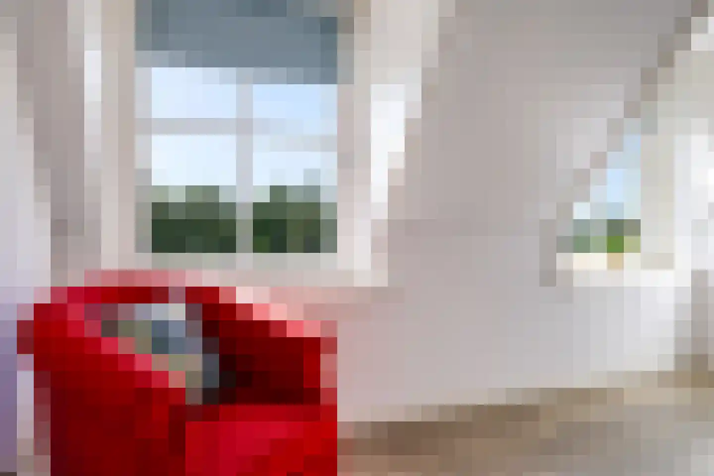 Didamseweg 4 g Doesburg thumbnail 66