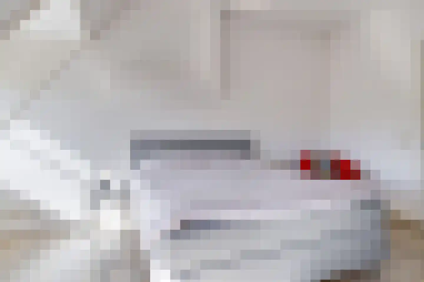 Didamseweg 4 g Doesburg thumbnail 67