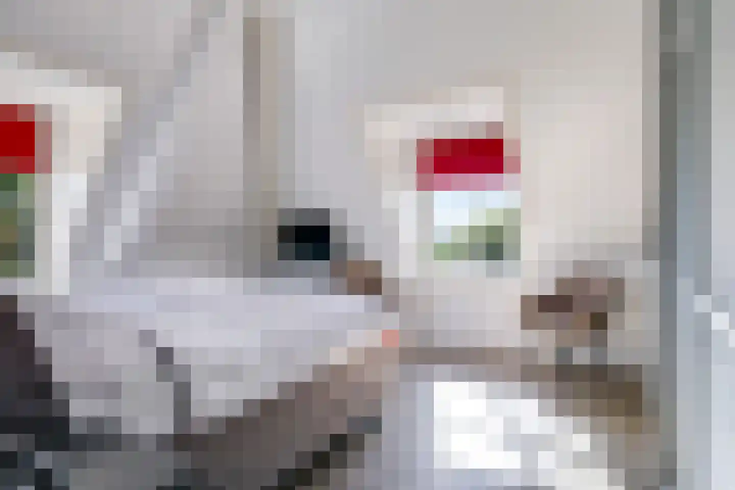 Didamseweg 4 g Doesburg thumbnail 69