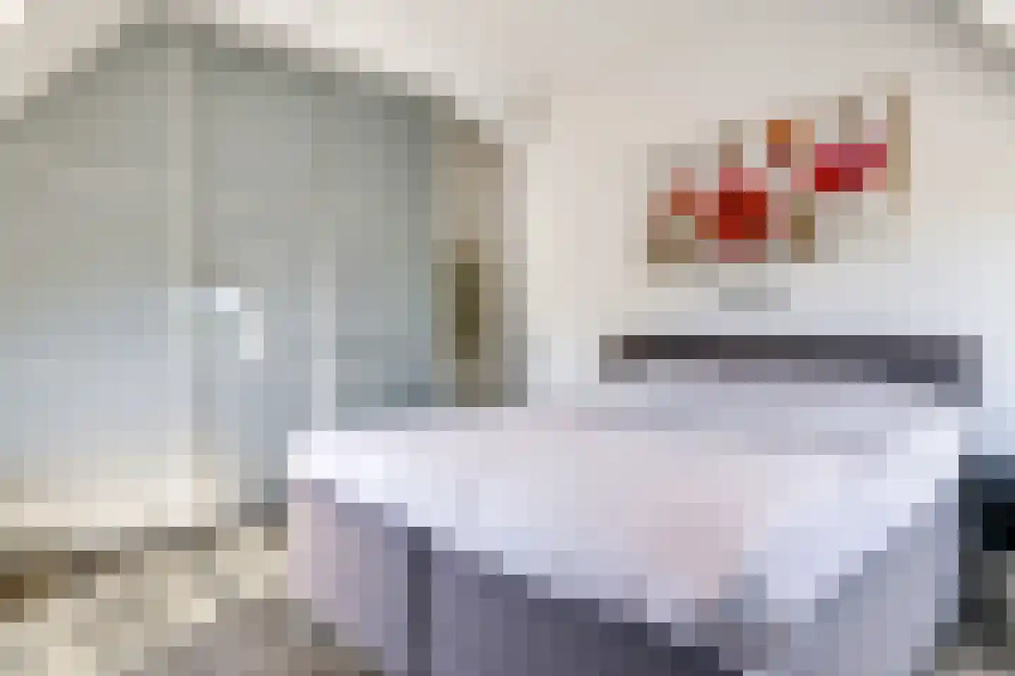 Didamseweg 4 g Doesburg thumbnail 71