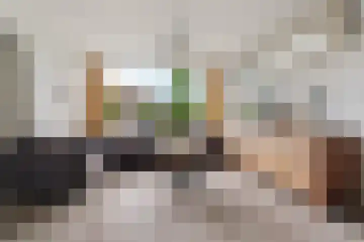 Didamseweg 46 Zevenaar thumbnail 7