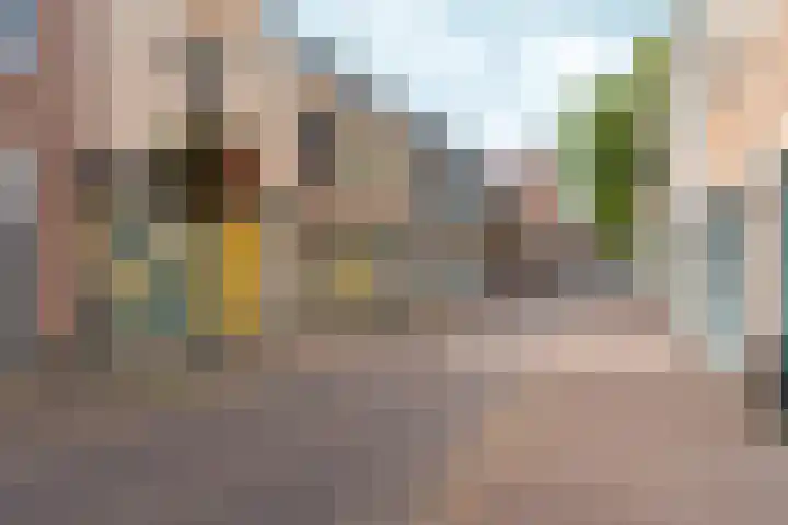 Didamseweg 50 Zevenaar thumbnail 29