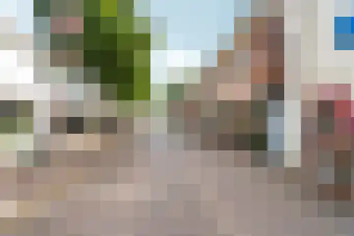 Didamseweg 50 Zevenaar thumbnail 30